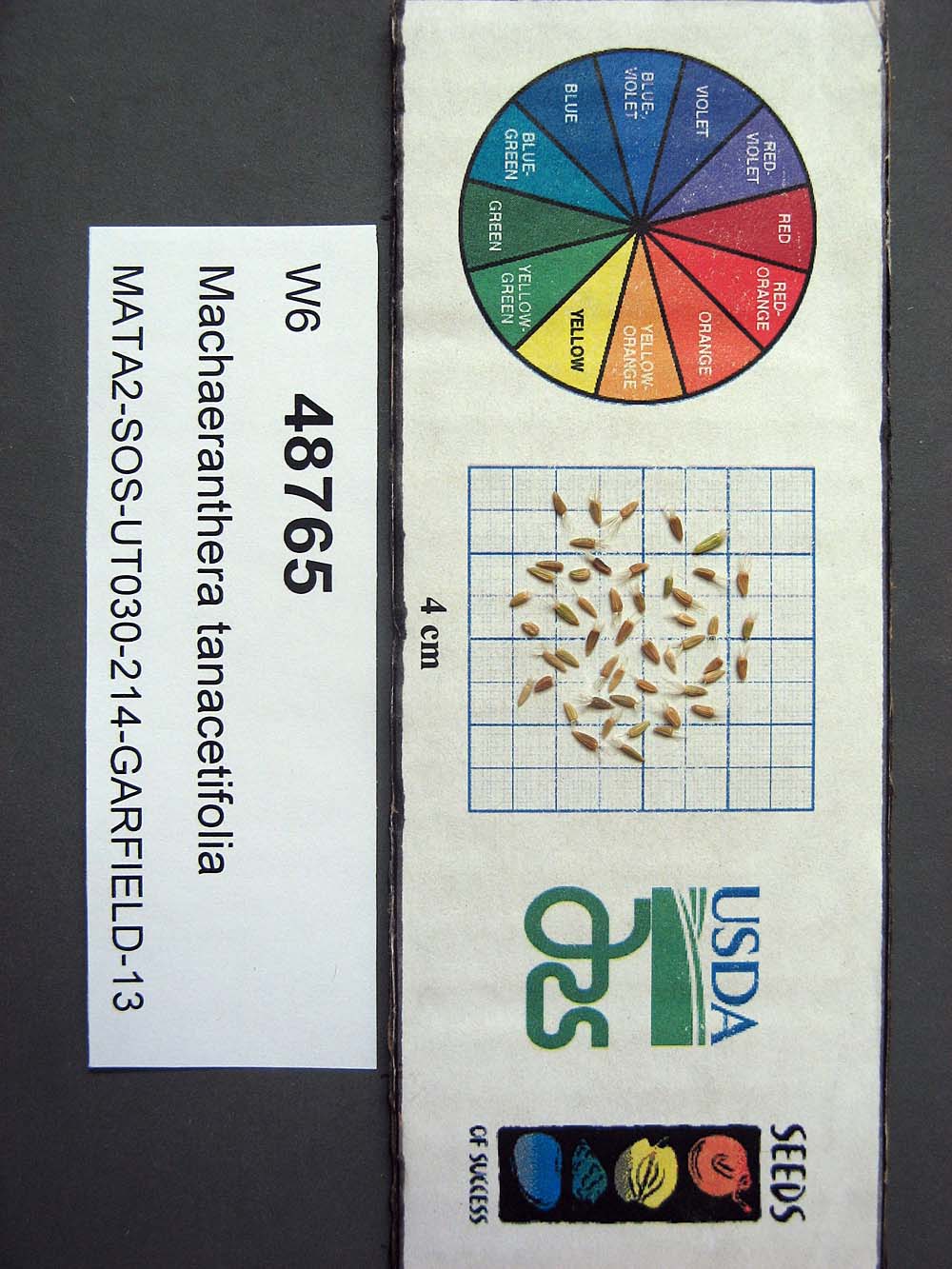 Click for 1 image(s) for this accession. SEED