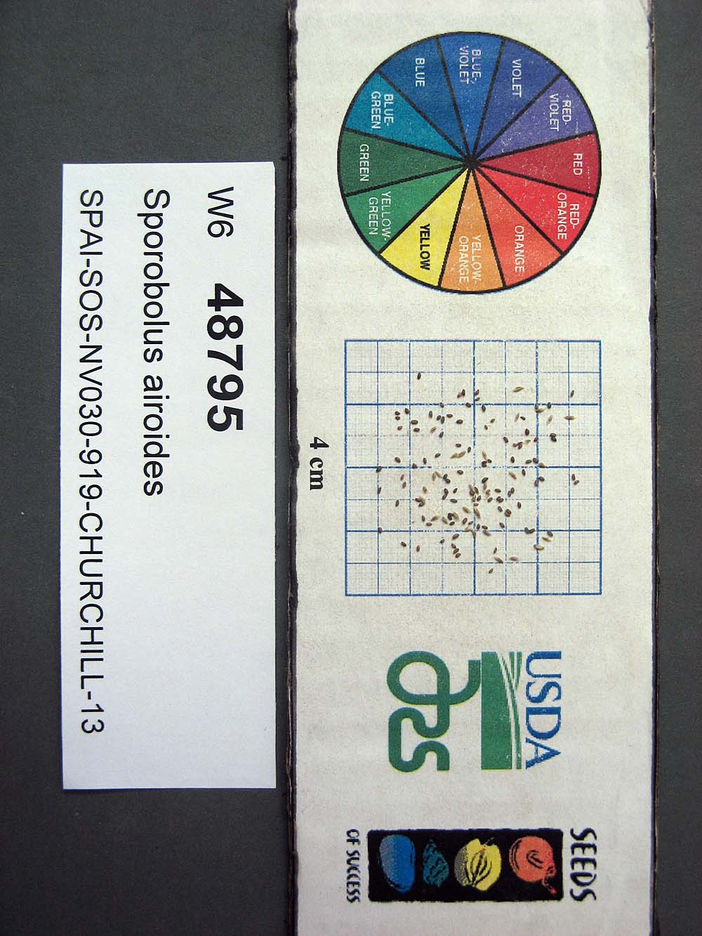 SEED