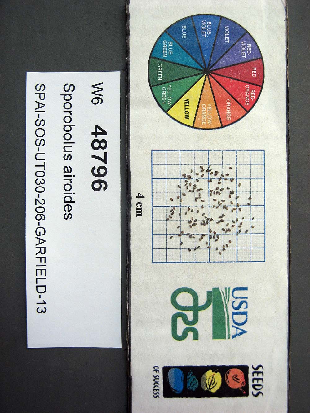 SEED