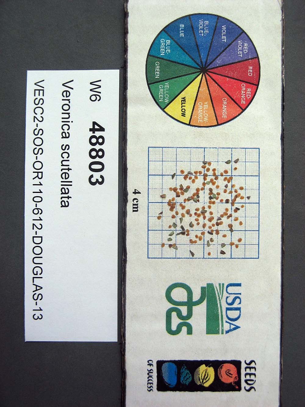 SEED