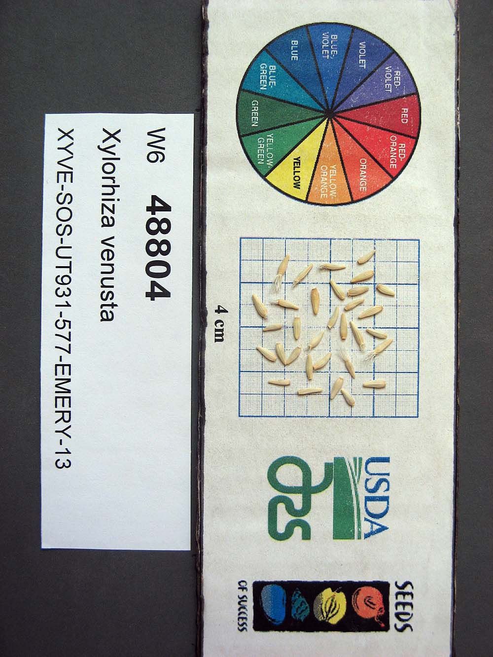 SEED