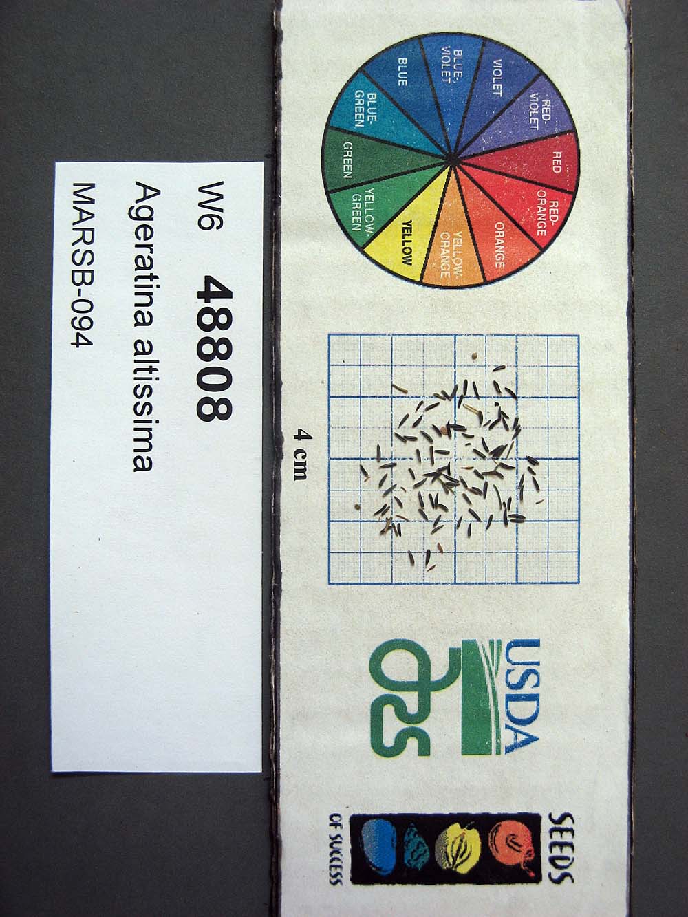 Click for 1 image(s) for this accession. SEED