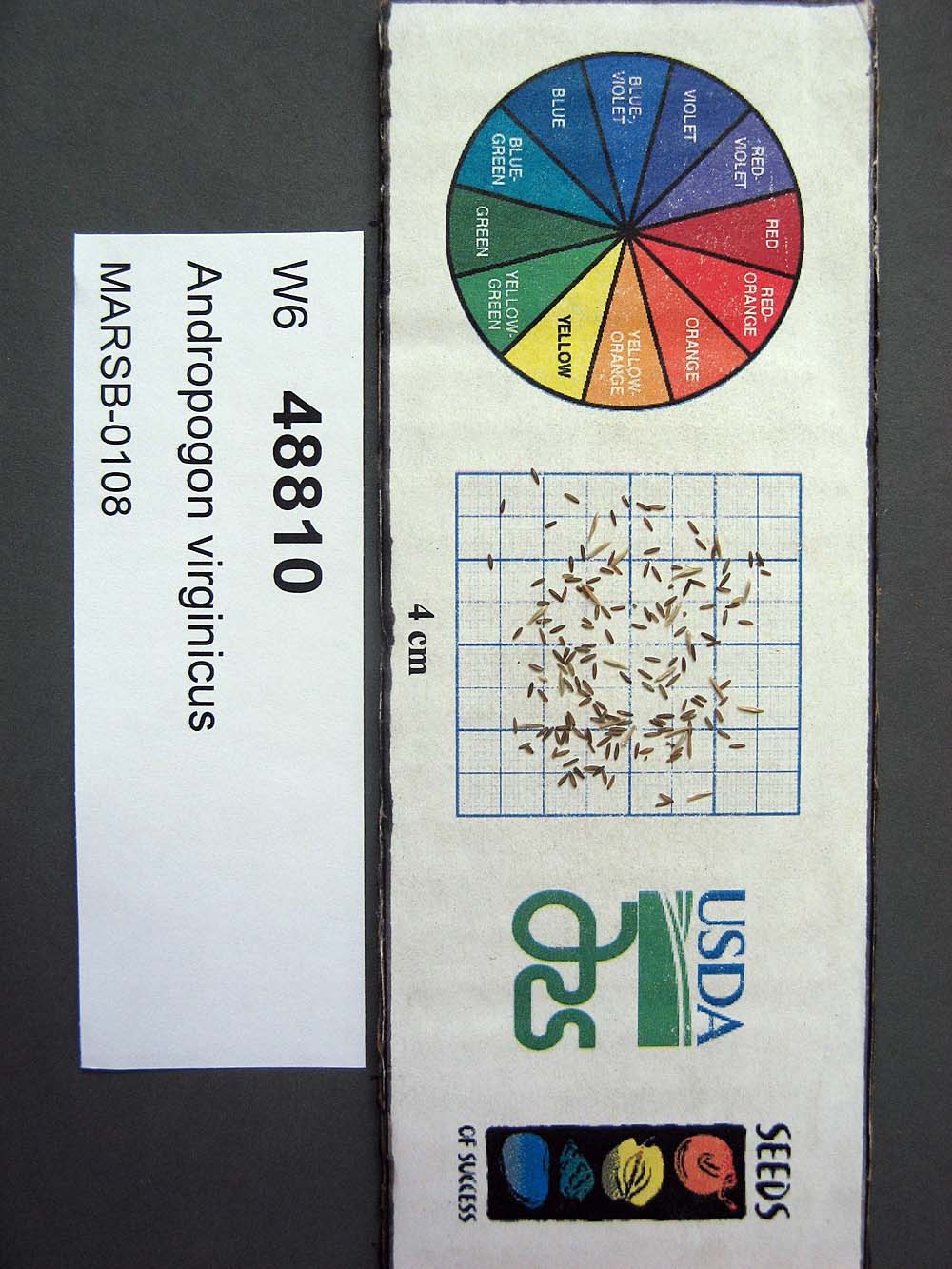 Click for 1 image(s) for this accession. SEED