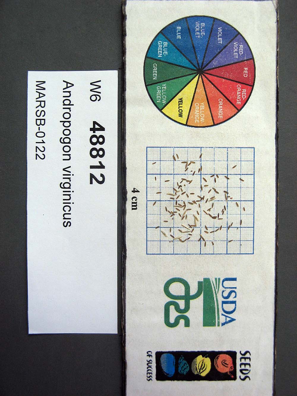 Click for 1 image(s) for this accession. SEED