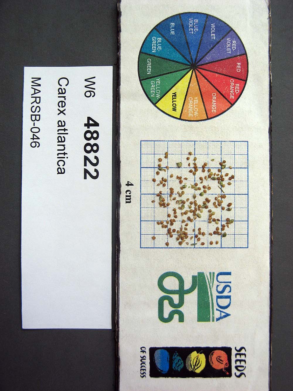 SEED