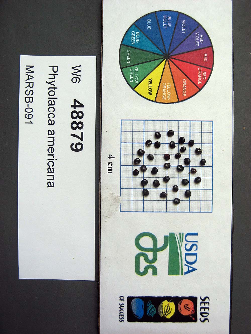 SEED
