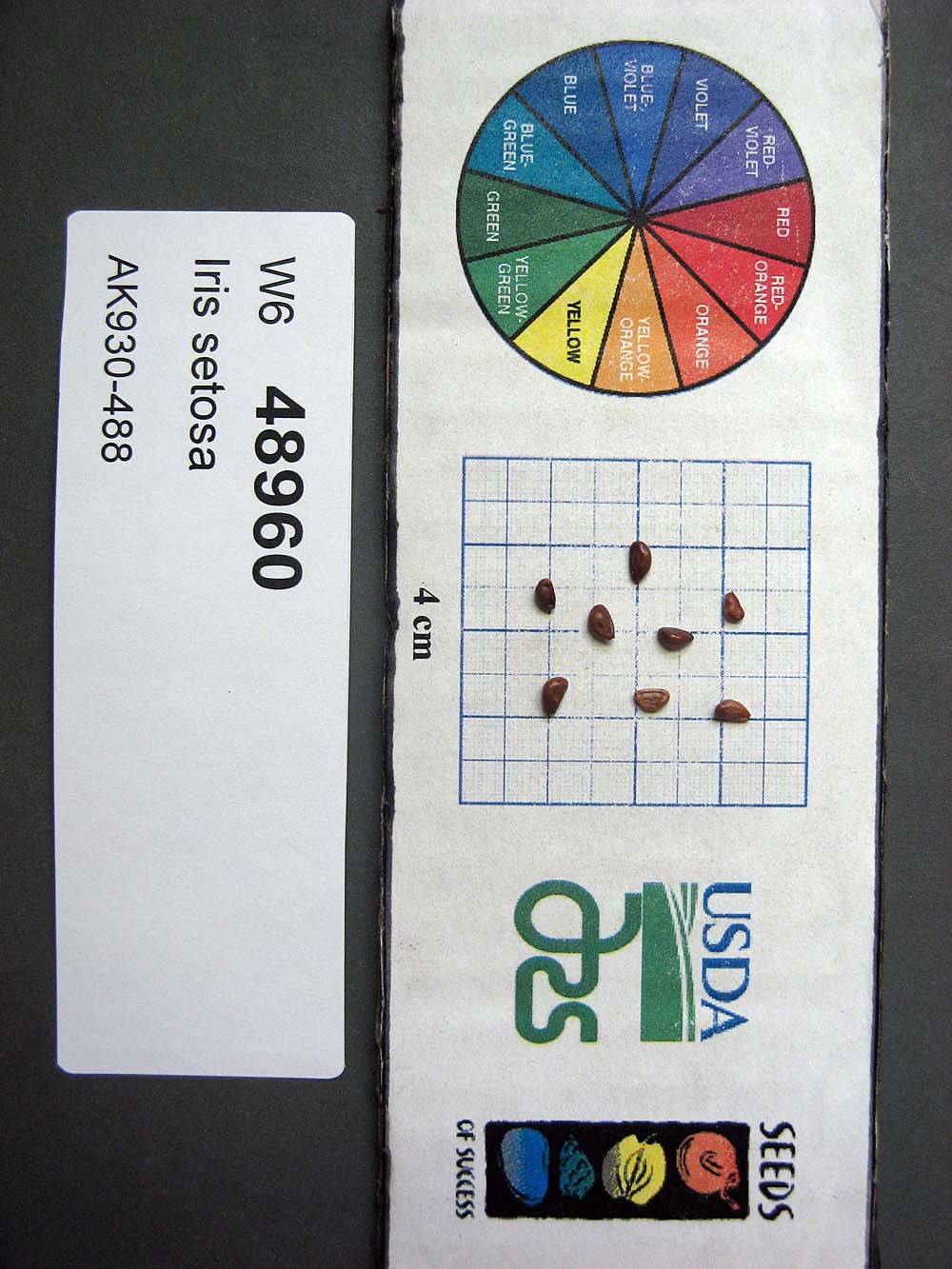 SEED