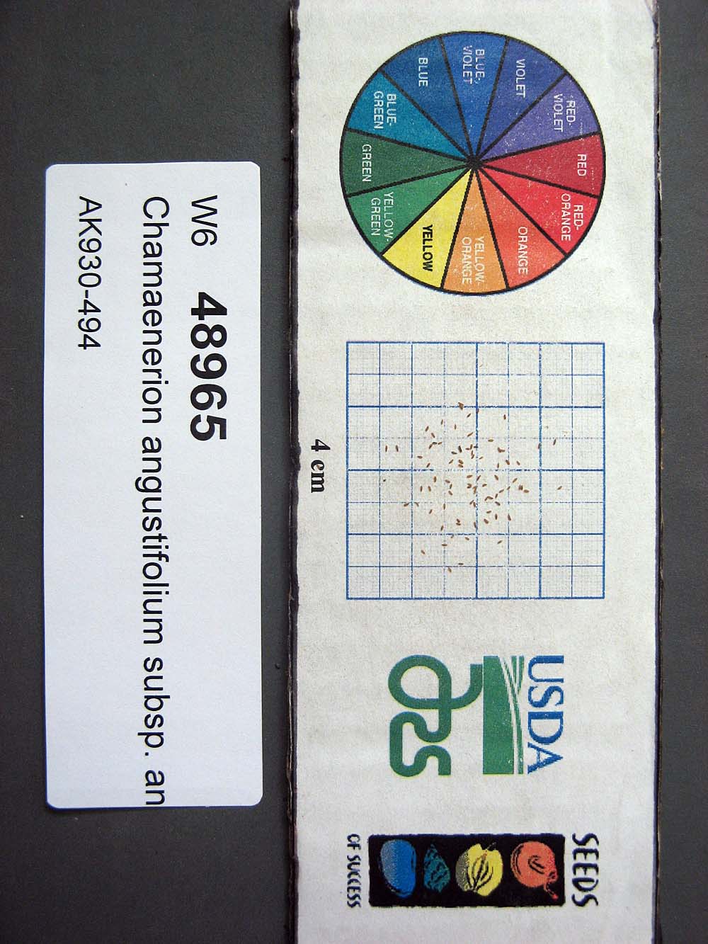SEED