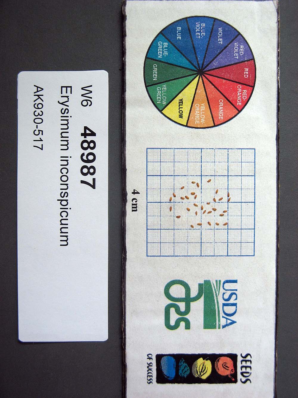 Click for 1 image(s) for this accession. SEED