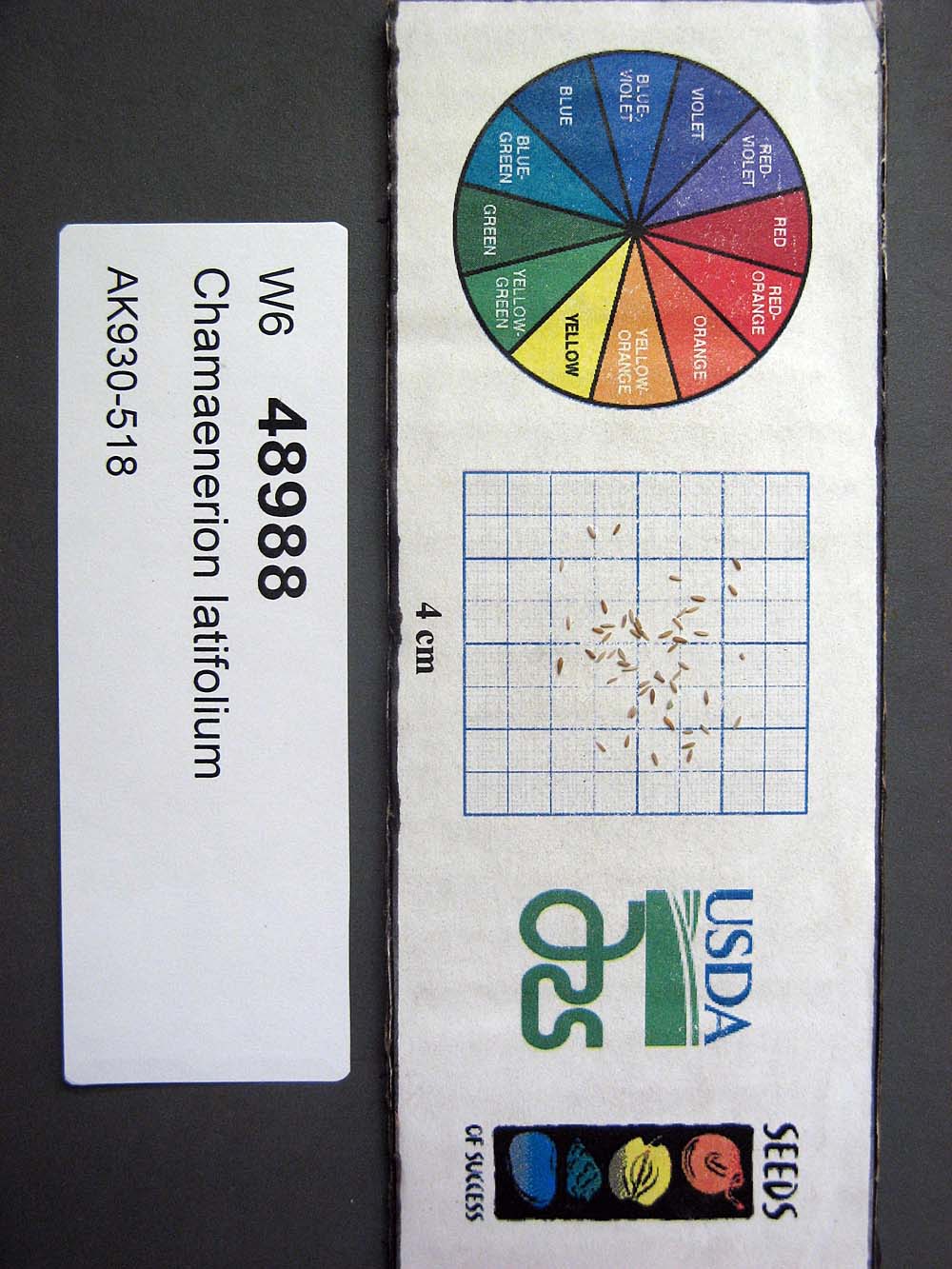 Click for 1 image(s) for this accession. SEED