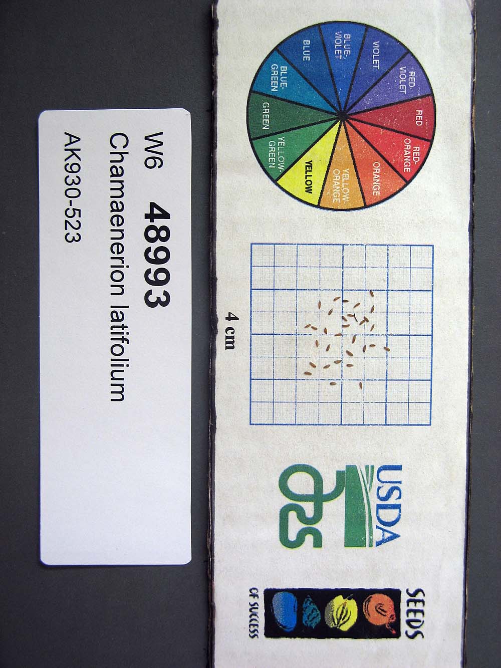 Click for 1 image(s) for this accession. SEED