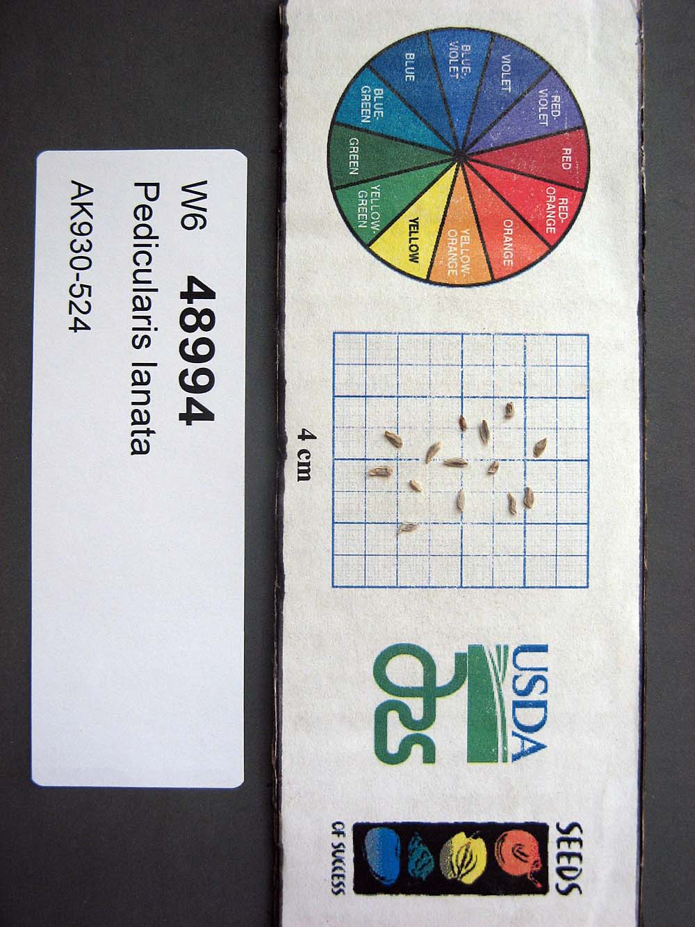SEED