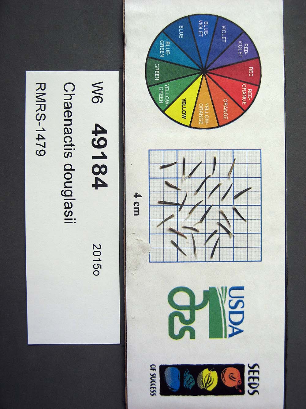 Click for 1 image(s) for this accession. SEED