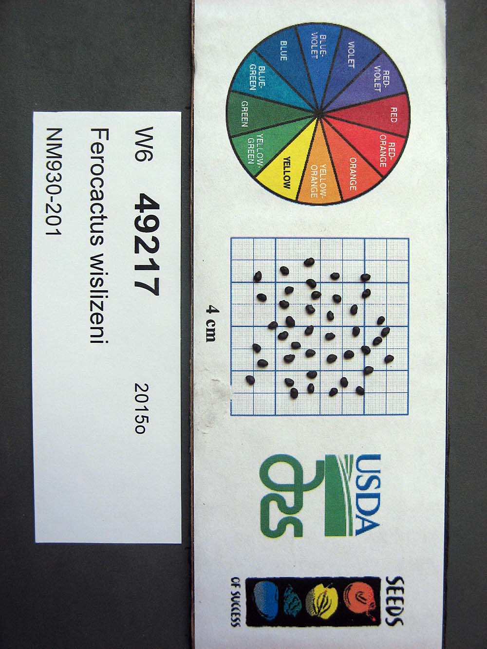 SEED