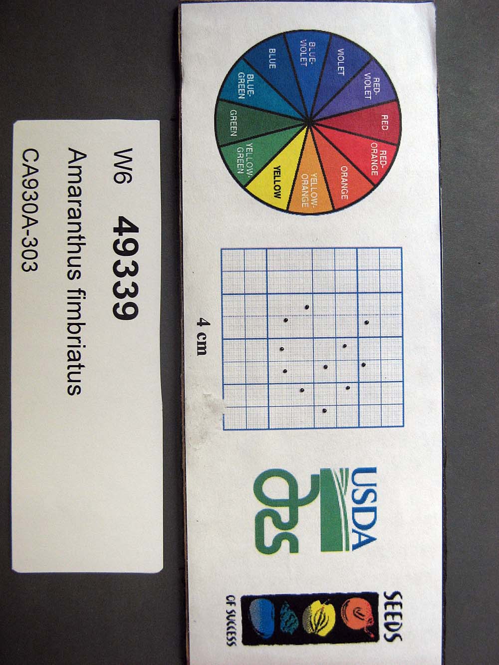 Click for 1 image(s) for this accession. SEED