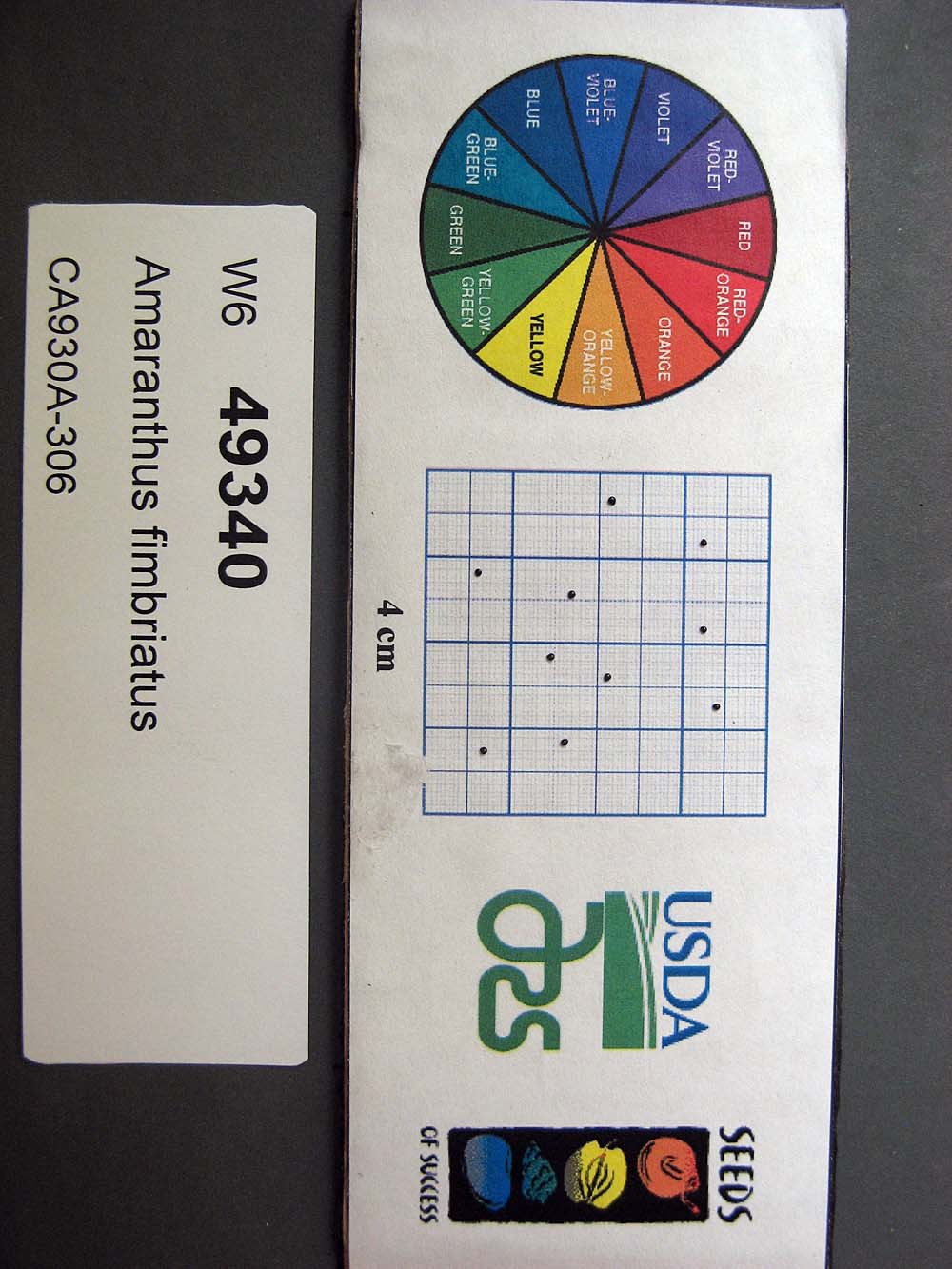 Click for 1 image(s) for this accession. SEED