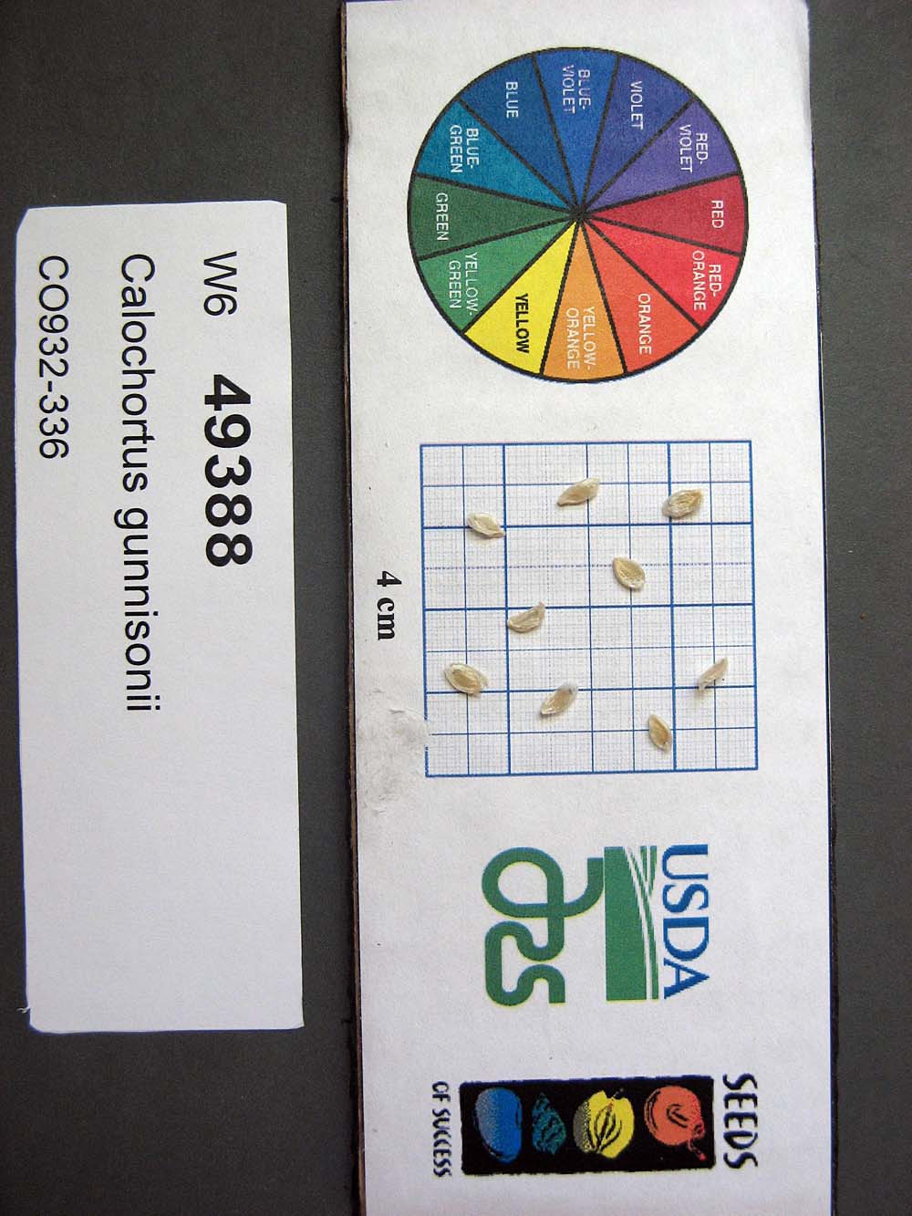 SEED