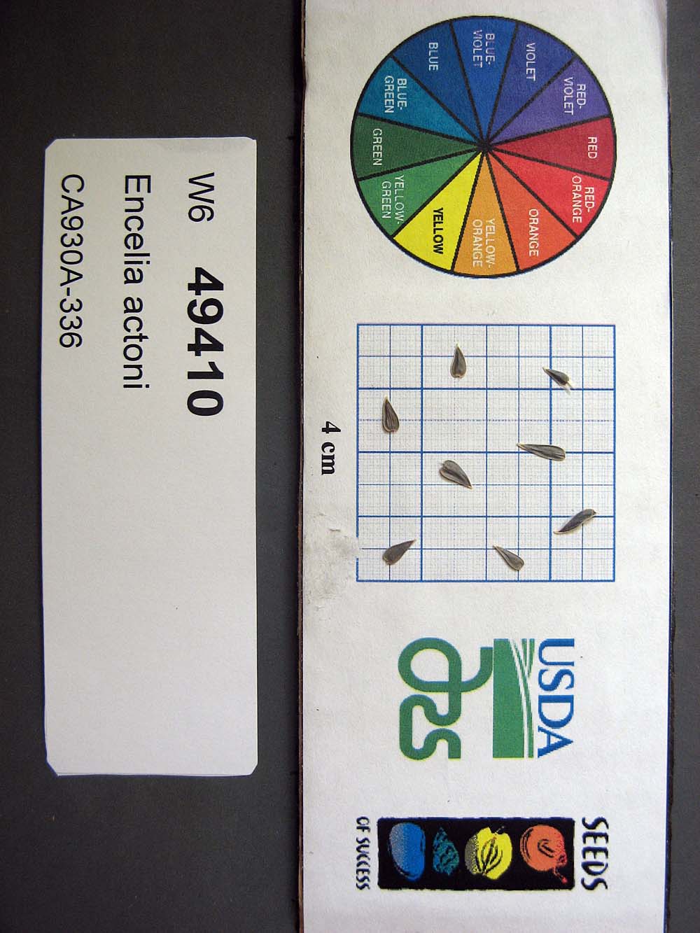 Click for 1 image(s) for this accession. SEED