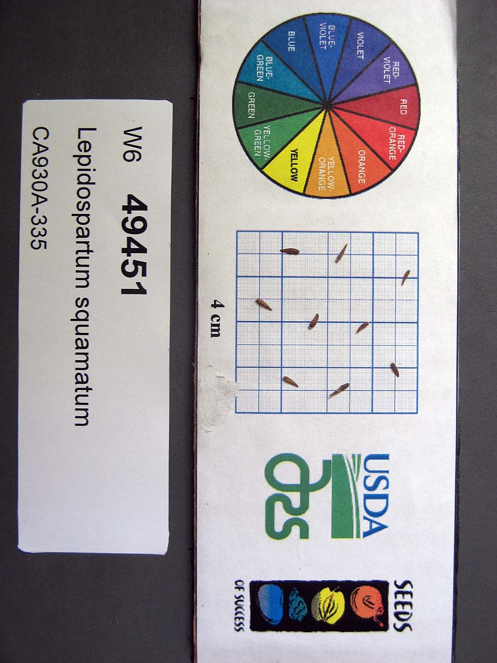 SEED