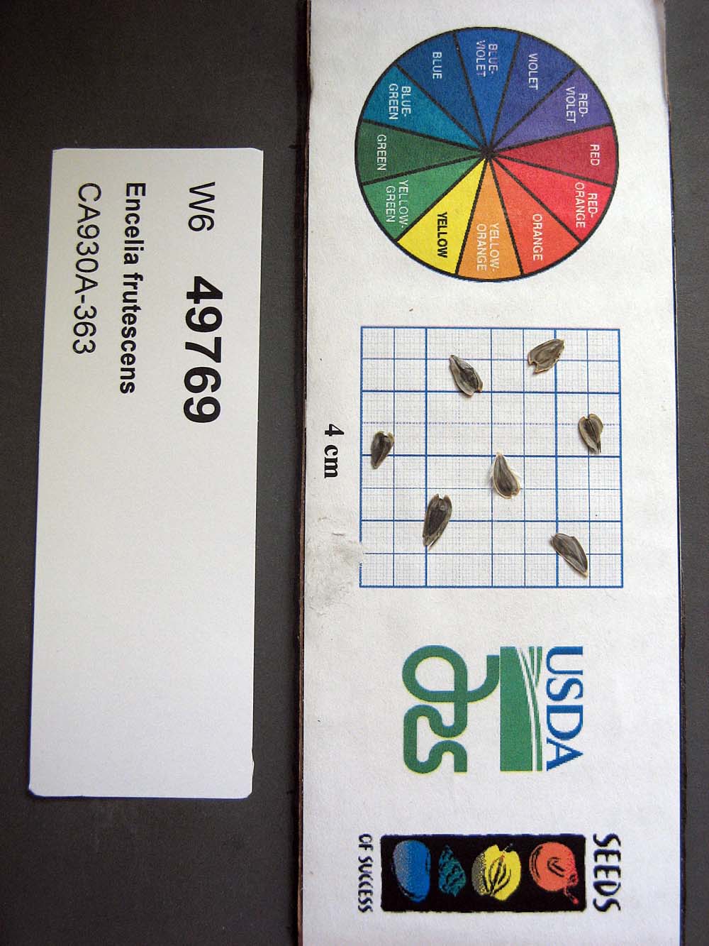 Click for 1 image(s) for this accession. SEED