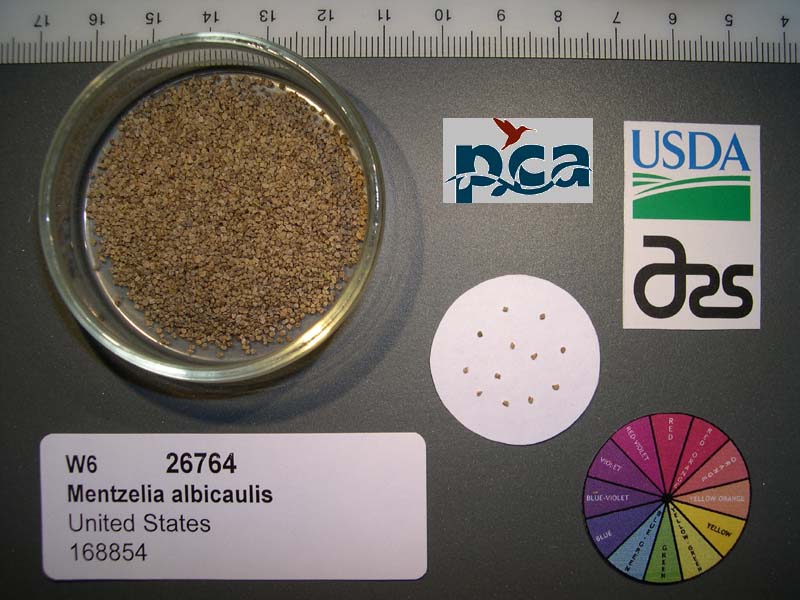 SEED