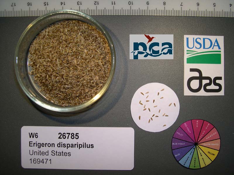 SEED