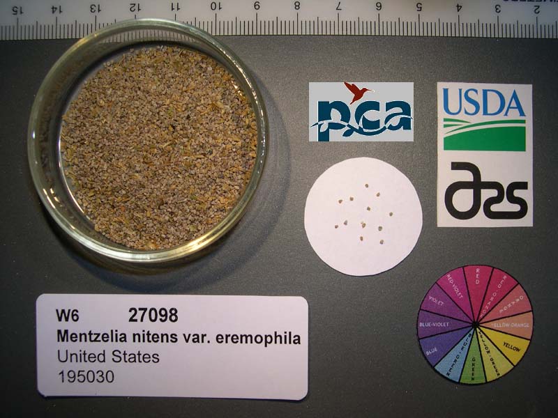 SEED