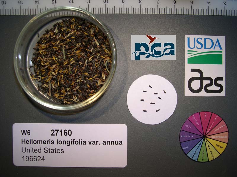SEED