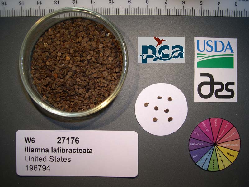 SEED