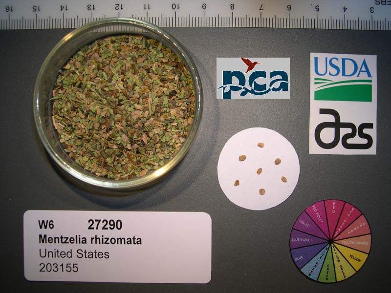 SEED