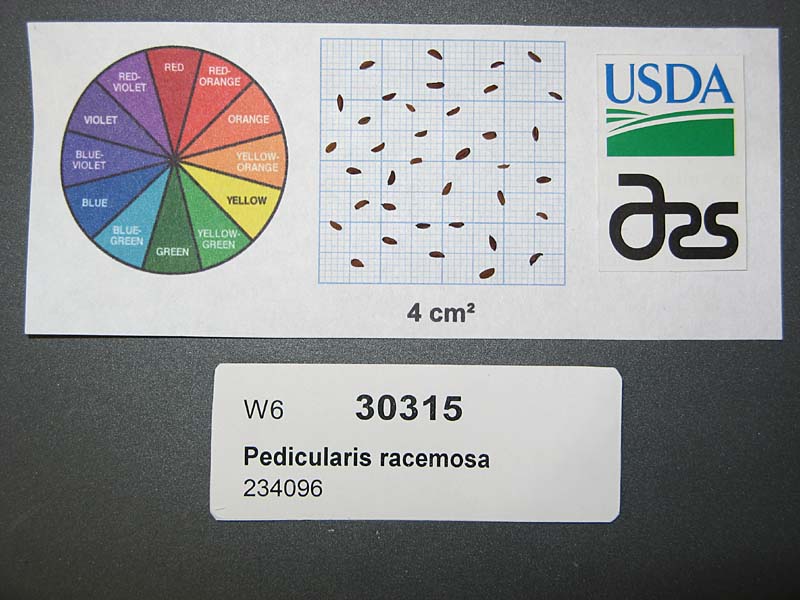 SEED