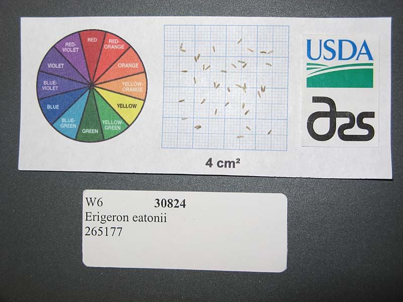 SEED