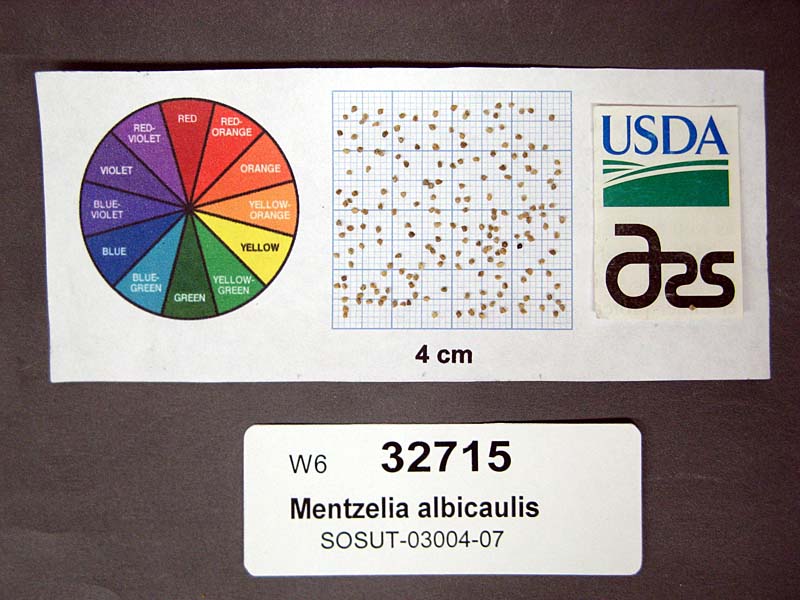 SEED